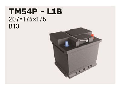  TM54P IPSA Стартерная аккумуляторная батарея