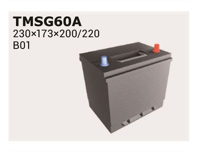  TMSG65A IPSA Стартерная аккумуляторная батарея