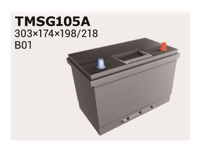  TMSG105A IPSA Стартерная аккумуляторная батарея