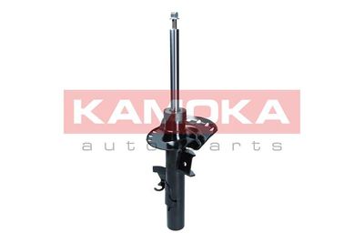  2000570 KAMOKA Амортизатор