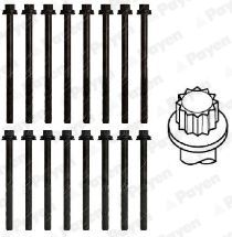  HBS502 PAYEN Комплект болтов головки цилидра