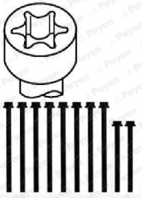  HBS243 PAYEN Комплект болтов головки цилидра