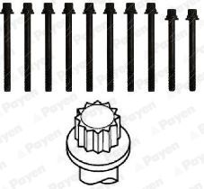  HBS436 PAYEN Комплект болтов головки цилидра