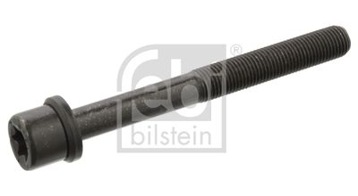  06543 FEBI BILSTEIN Болт головки цилиндра