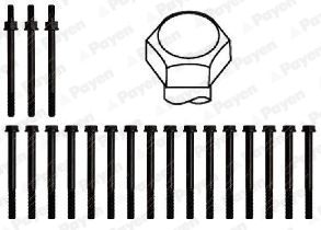  HBS286 PAYEN Комплект болтов головки цилидра