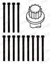  HBS443 PAYEN Комплект болтов головки цилидра