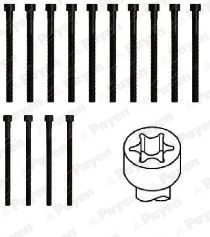  HBS542 PAYEN Комплект болтов головки цилидра