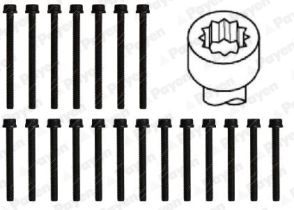  HBS526 PAYEN Комплект болтов головки цилидра