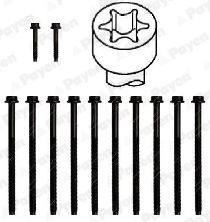  HBS358 PAYEN Комплект болтов головки цилидра