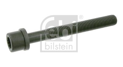  06666 FEBI BILSTEIN Болт головки цилиндра