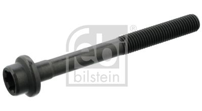  15698 FEBI BILSTEIN Болт головки цилиндра