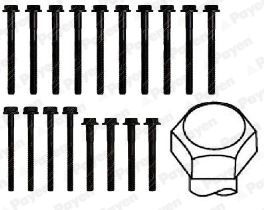  HBS224 PAYEN Комплект болтов головки цилидра