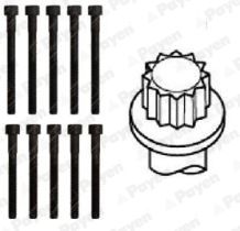  HBS306 PAYEN Комплект болтов головки цилидра