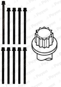  HBS281 PAYEN Комплект болтов головки цилидра