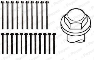  HBS011 PAYEN Комплект болтов головки цилидра