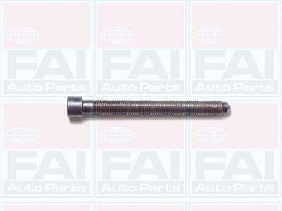  B1006 FAI AutoParts Комплект болтов головки цилидра