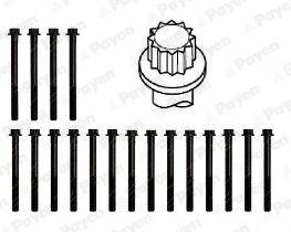  HBS491 PAYEN Комплект болтов головки цилидра