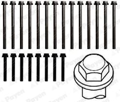  HBS255 PAYEN Комплект болтов головки цилидра