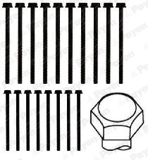  HBS296 PAYEN Комплект болтов головки цилидра