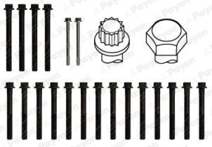  HBS216 PAYEN Комплект болтов головки цилидра