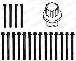  HBS315 PAYEN Комплект болтов головки цилидра