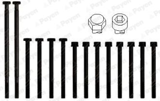 HBS010 PAYEN Комплект болтов головки цилидра