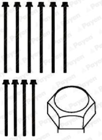  HBS391 PAYEN Комплект болтов головки цилидра