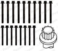  HBS288 PAYEN Комплект болтов головки цилидра
