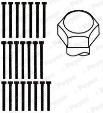  HBS015 PAYEN Комплект болтов головки цилидра