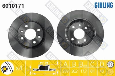 6010171 GIRLING Тормозной диск