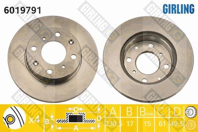6019791 GIRLING Тормозной диск