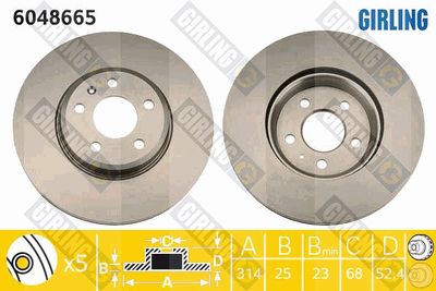 6048665 GIRLING Тормозной диск