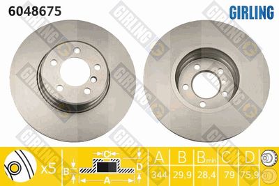 6048675 GIRLING Тормозной диск