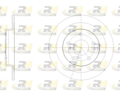 6210000 ROADHOUSE Тормозной диск