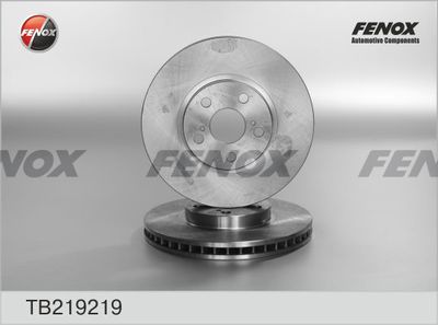 TB219219 FENOX Тормозной диск