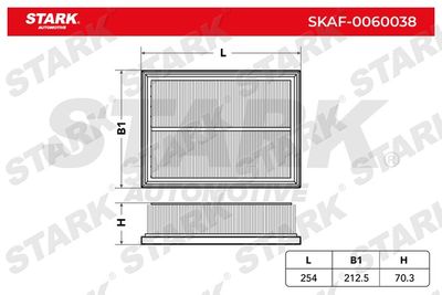 SKAF0060038 Stark Воздушный фильтр