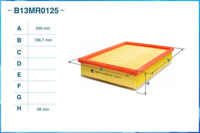 B13MR0125 CWORKS Воздушный фильтр