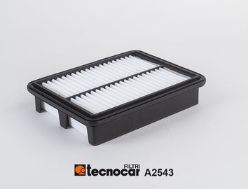 A2543 TECNOCAR Воздушный фильтр