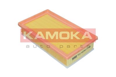 F252101 KAMOKA Воздушный фильтр