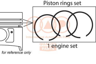  10213030 IAP QUALITY PARTS Комплект поршневых колец