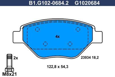 B1G10206842 GALFER Комплект тормозных колодок, дисковый тормоз