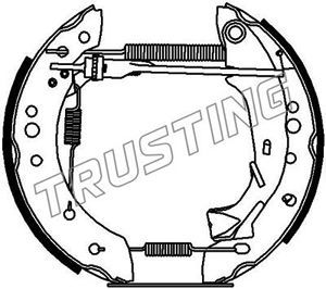 6260 TRUSTING Комплект тормозных колодок