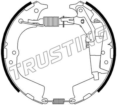 6510 TRUSTING Комплект тормозных колодок