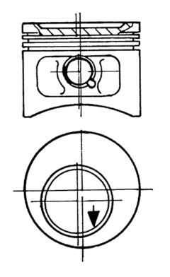  WG1022925 WILMINK GROUP Поршень