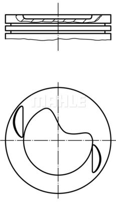  WG1256053 WILMINK GROUP Поршень