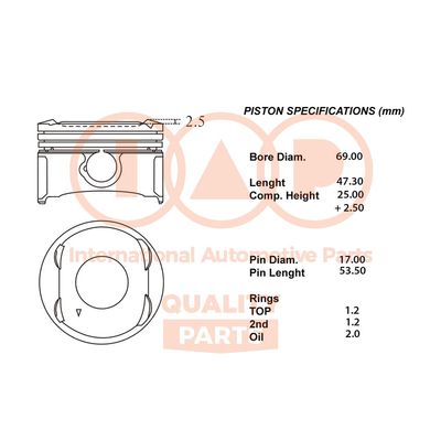  10020067 IAP QUALITY PARTS Поршень