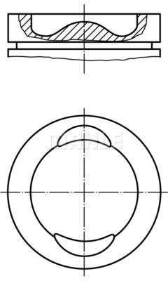  WG1211897 WILMINK GROUP Поршень