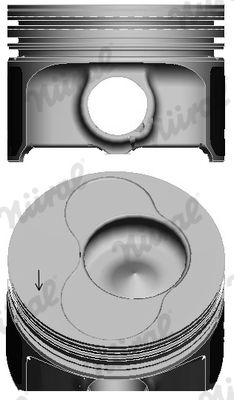  WG1094083 WILMINK GROUP Поршень