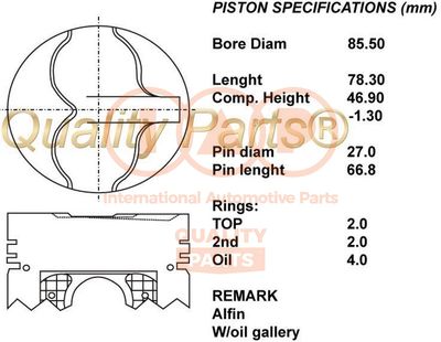  10013031 IAP QUALITY PARTS Поршень