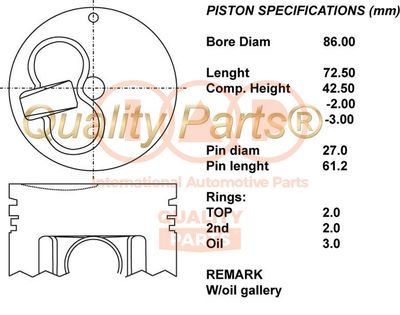  10017072 IAP QUALITY PARTS Поршень